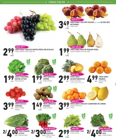 Preview of Coppas Fresh Market weekly flyer / circulaire from shop Coppas Fresh Market valid from Jul 2, 2026 | Page: 2 | Products: Potatoes, Bag, Oranges, Tomatoes