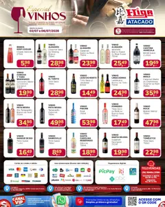 Higa Atacado ofertas Especial de Vinhos - Pré-Visualização do folheto da loja Higa Atacado, válido de 02/07/2026 | Página: 1