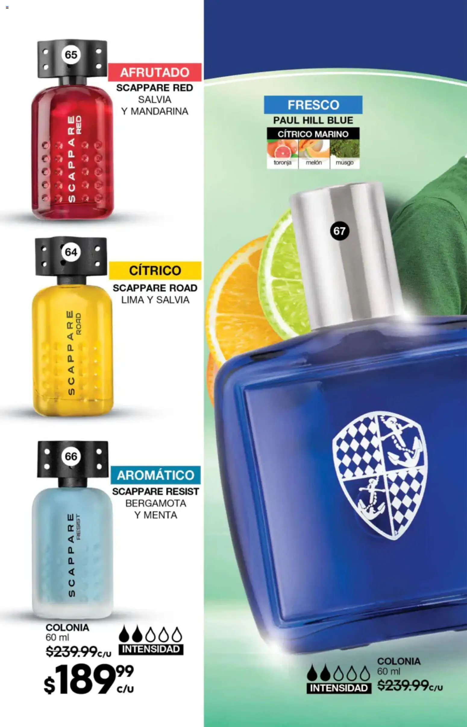Nuevas ofertas de Fuller válidas en toda la República Mexicana desde el 27/05/2026. ¡Encuentra las mejores ofertas en Fuller campaña 4 2026! | Página: 28