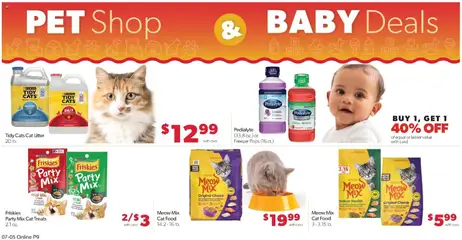 Preview of Family Fare weekly ads valid from 07/05/2026 | Page: 13 | Products: Cat Food, Cat Litter, Fish, Freezer