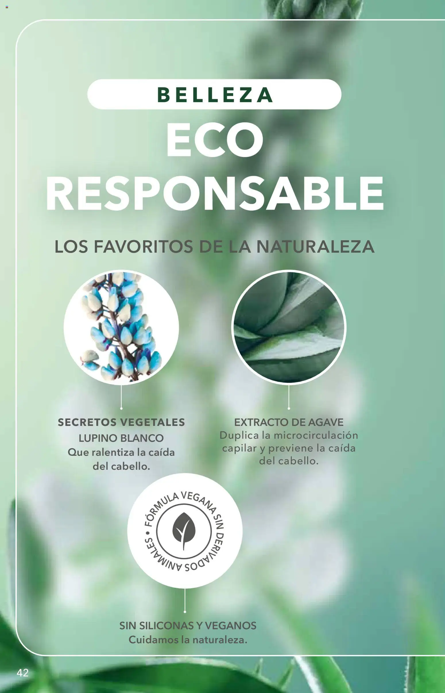 Nuevas ofertas de Yves Rocher válidas en toda la República Mexicana desde el 06/10/2026. ¡Encuentra las mejores ofertas en Yves Rocher campaña 14 2026! | Página: 42 | Productos: Agave
