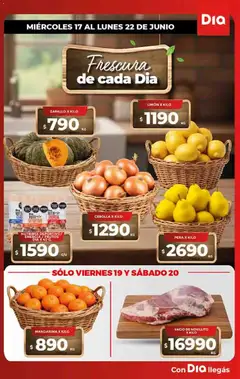 Vista previa Supermercado DIA Ofertas válido desde el 17.06.2026 | Página: 9 | Productos: Cebolla, Zapallo, Pera, Limón