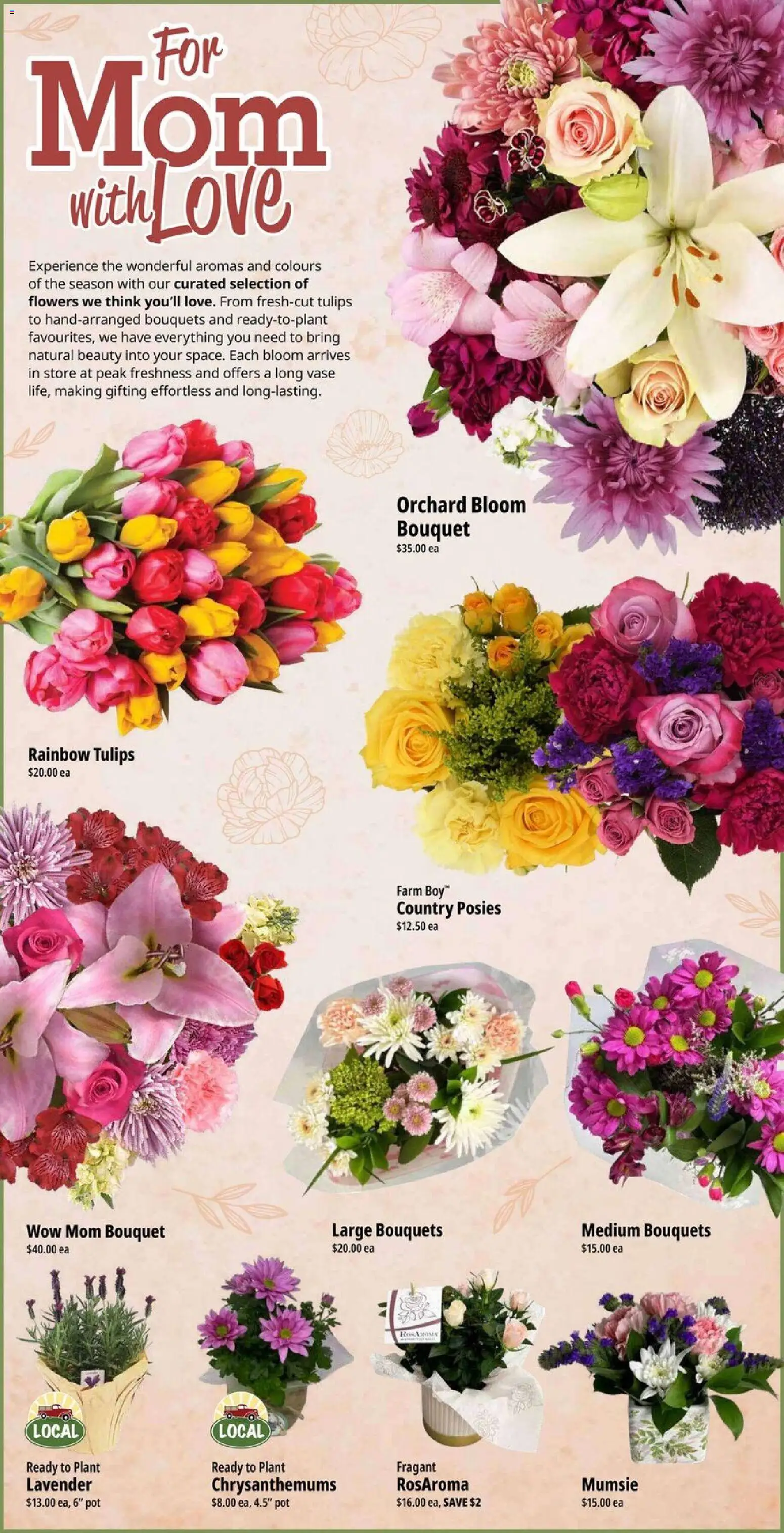 Farm Boy flyer valid from 30.04.2026 | Page: 9 | Products: Vase