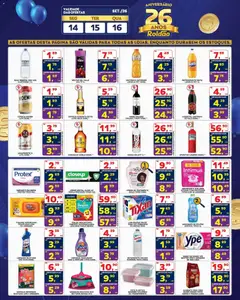 Roldão - Ofertas da semana - Pré-Visualização do folheto da loja Roldão, válido de 14/09/2026 | Página: 4