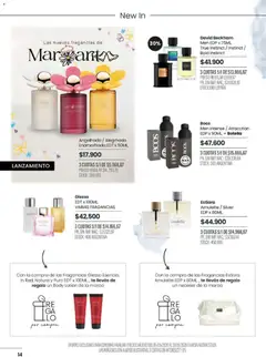 Vista previa Pigmento catálogo válido desde el 05.05.2026 | Página: 14 | Productos: Body, Botella, Neceser, Té