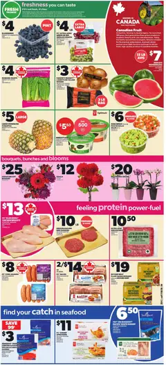Preview of Zehrs weekly flyer / circulaire from shop Zehrs valid from Aug 20, 2026 | Page: 3 | Products: Fruit, Blueberries, Guacamole, Oil