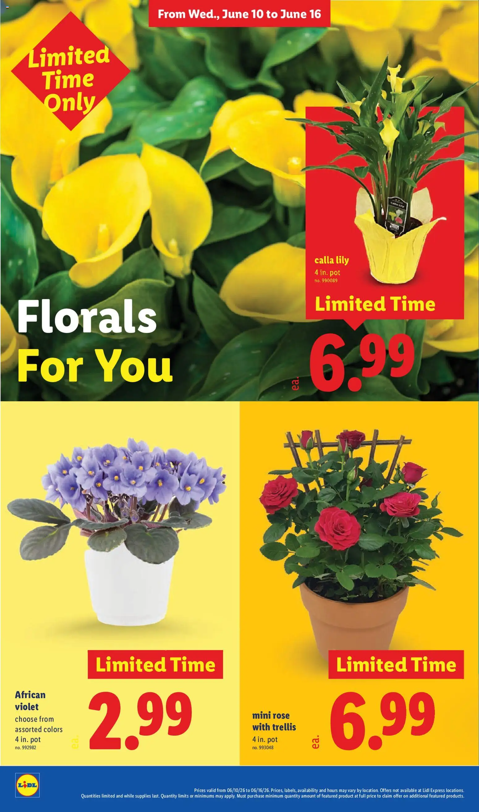 Lidl Weekly Ad - valid from 10.06.2026 | Page: 36
