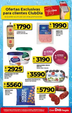 Vista previa Supermercado DIA Ofertas válido desde el 17/06/2026 | Página: 33 | Productos: Remolacha, Queso, Chorizo, Cerdo