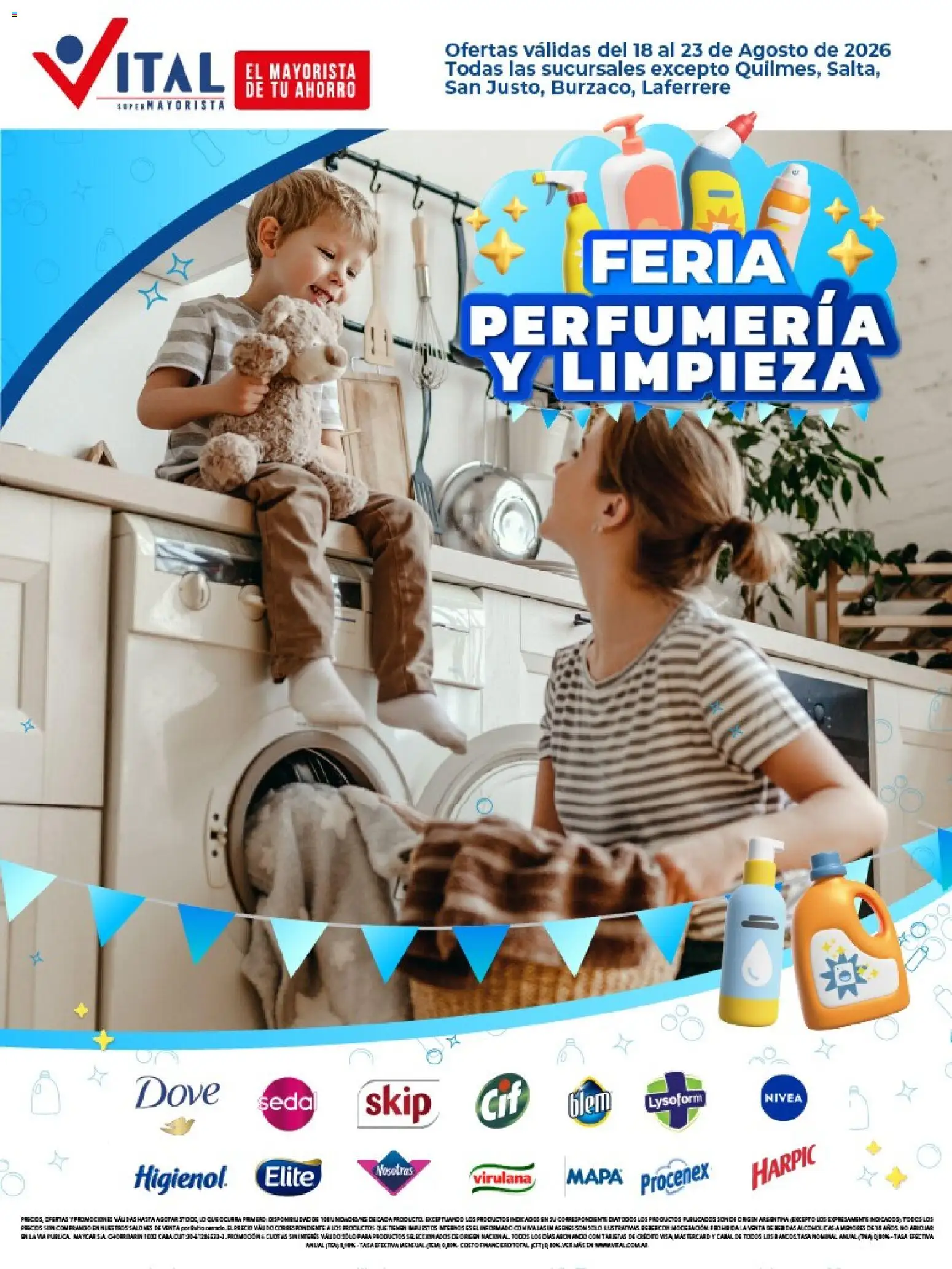 Vital - Especial limpieza │ válido desde el 17/08/2026 | Página: 1 | Productos: Wok, Alcohol