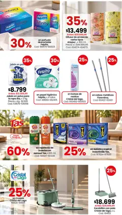 Vista previa Escobillón con pala, Cristal del lago, x u. válido desde el 28/09/2026 | Página: 6 | Productos: Tableta, Pañuelo, Ropa, Escobillon