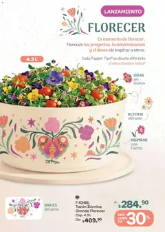 Vista previa de Tupperware catálogo, nuevo folleto de la tienda, válido en México a partir del 15.06.2026 | Página: 115 | Productos: Tupper