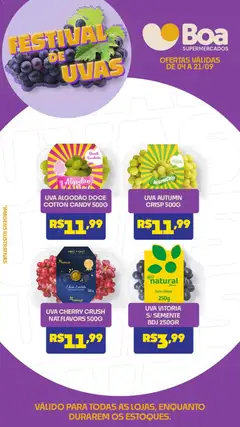 Boa Supermercados ofertas Festival de Uvas - Pré-Visualização do folheto da loja Boa Supermercados, válido de 04/09/2026