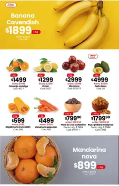 Vista previa Coto - Ofertas válido desde el 01.06.2026 | Página: 3