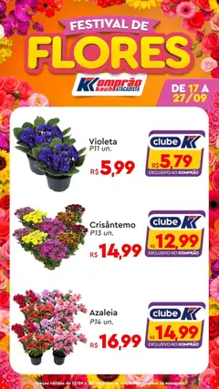 Komprao Atacadista ofertas Flores - Pré-Visualização do folheto da loja Komprao Atacadista, válido de 17/09/2026 | Página: 7 | Produtos: Flores