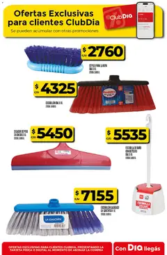 Vista previa ESCOBILLA DE BAÑO CON DEPÓSITO DIA X 1 U., ESCOBILLA DE BAÑO CON DEPÓSITO DIA X 1 U. válido desde el 26/08/2026 | Página: 22 | Productos: Baño, Cepillo, Ropa, Escobilla