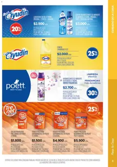 Vista previa Pigmento - Golazo de ofertas válido desde el 02.06.2026 | Página: 19 | Productos: Desinfectante, Lavandina, Polvo, Quitamanchas