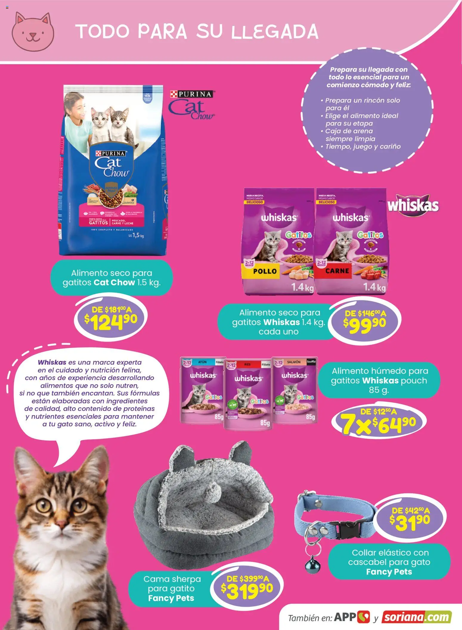 Nuevas ofertas de Soriana válidas en toda la República Mexicana desde el 13/08/2026. ¡Encuentra las mejores ofertas en Soriana Especial Mascotas Híper Nacional! | Página: 11 | Productos: Atún, Juego, Cama, Collar