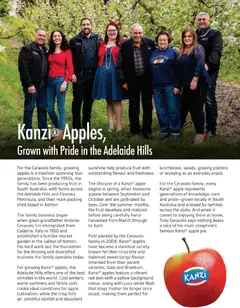 Preview of Foodland catalogue Winter - valid from 06/06/2026 | Page: 13 | Products: Apples, Shed, Foundation