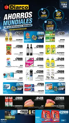 Vista previa Diarco ofertas válido desde el 22/06/2026