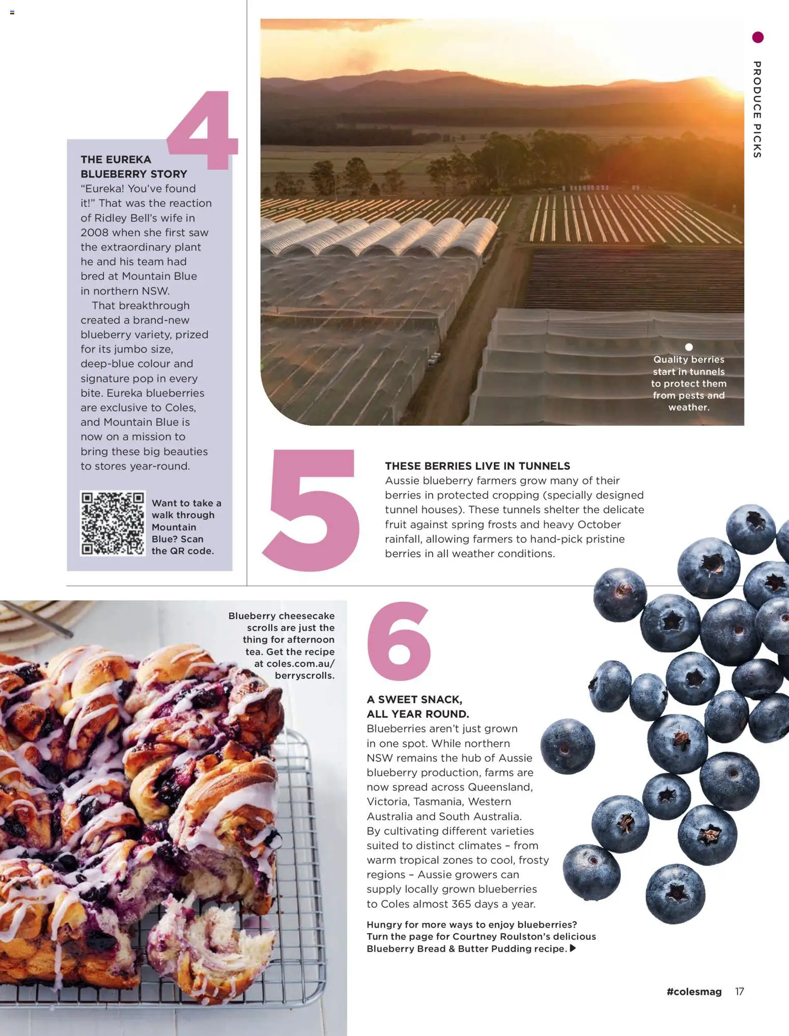 Coles catalogue - valid from 01/10/2026 | Page: 17 | Products: Plant, Saw, Pudding, Fruit