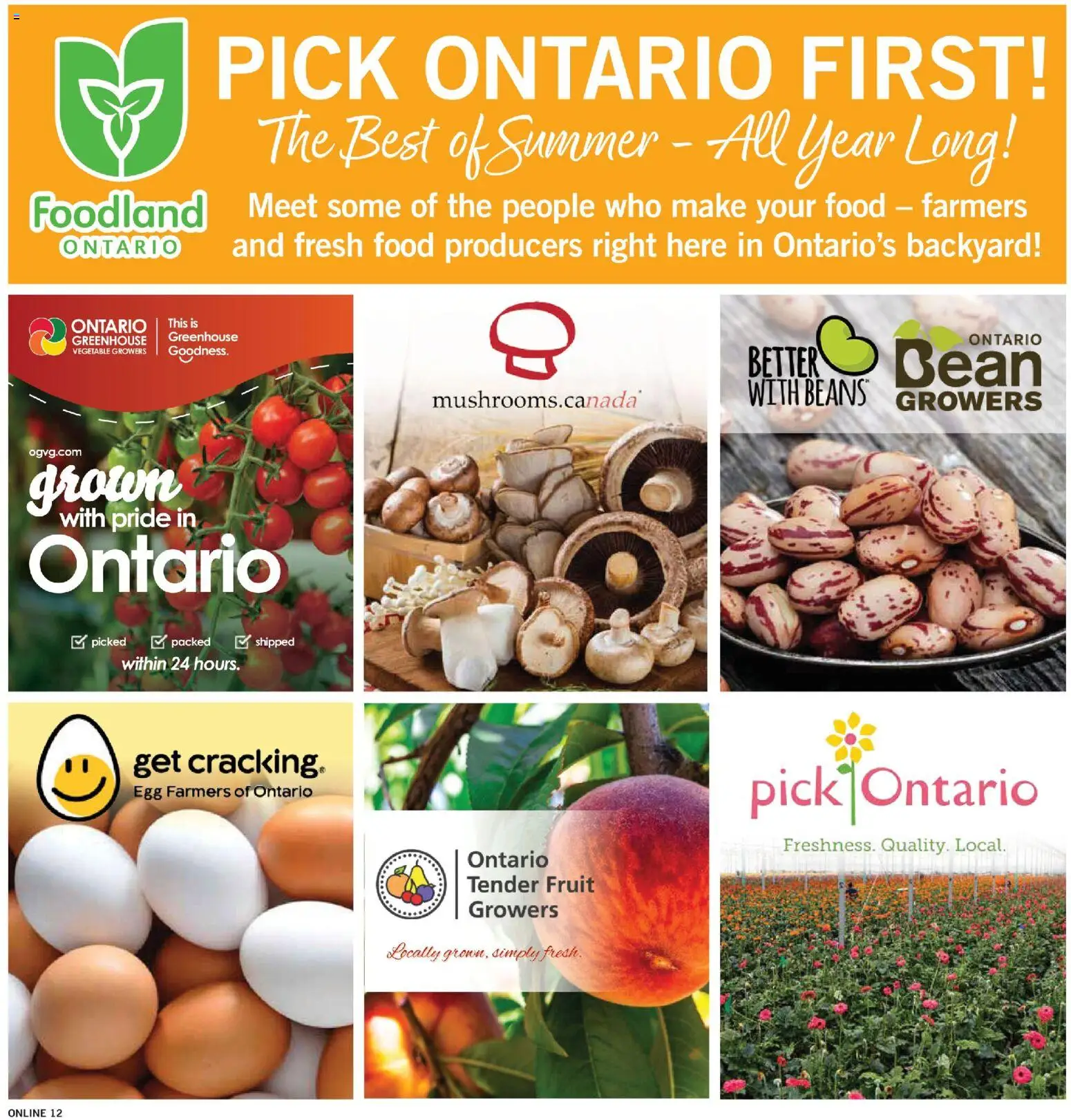 Fortinos flyer valid from Aug 13, 2026 | Page: 11 | Products: Fruit, Food, Beans