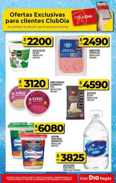 Vista previa Dia - Ofertas válido desde el 27.05.2026 | Página: 53
