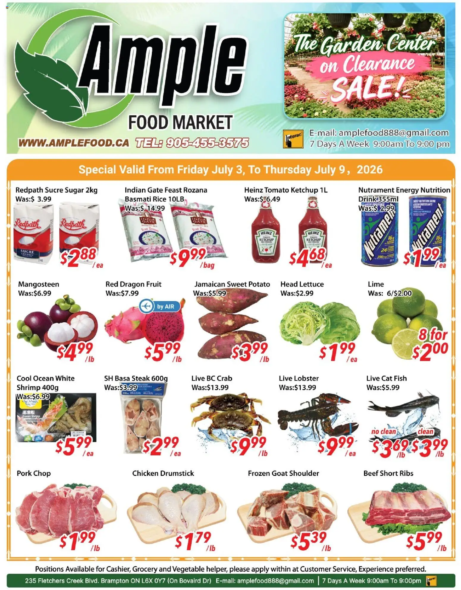 Ample Food Market flyer valid from Jul 3, 2026 | Page: 1 | Products: Fish, Beef, Ketchup, Bag
