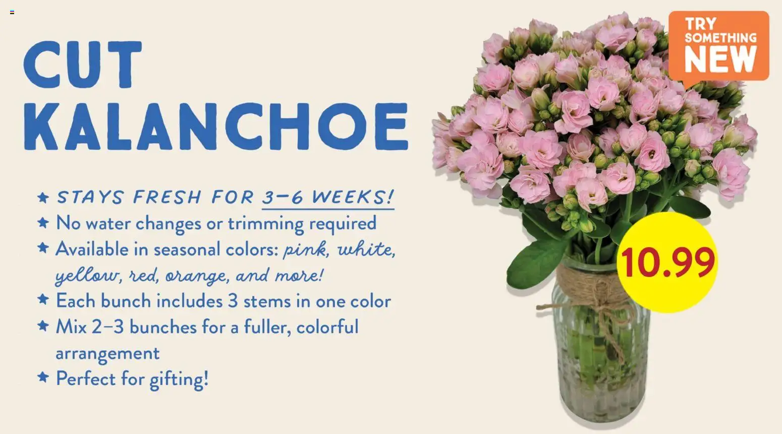 Fresh Thyme Monthly Ad - MN - valid from 01.06.2026 | Page: 4 | Products: Water