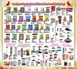 Preview of Ocean State Job Lot weekly ads valid from 11.06.2026 | Page: 13