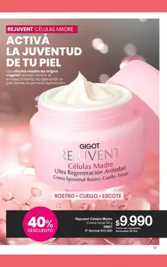 Vista previa Gigot - CAMPAÑA 10 válido desde el 18/06/2026 | Página: 69 | Productos: Crema