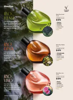 Vista previa de Natura campaña 12 2026, nuevo folleto de la tienda, válido en México a partir del 31/07/2026 | Página: 38 | Productos: Agua, Sobre