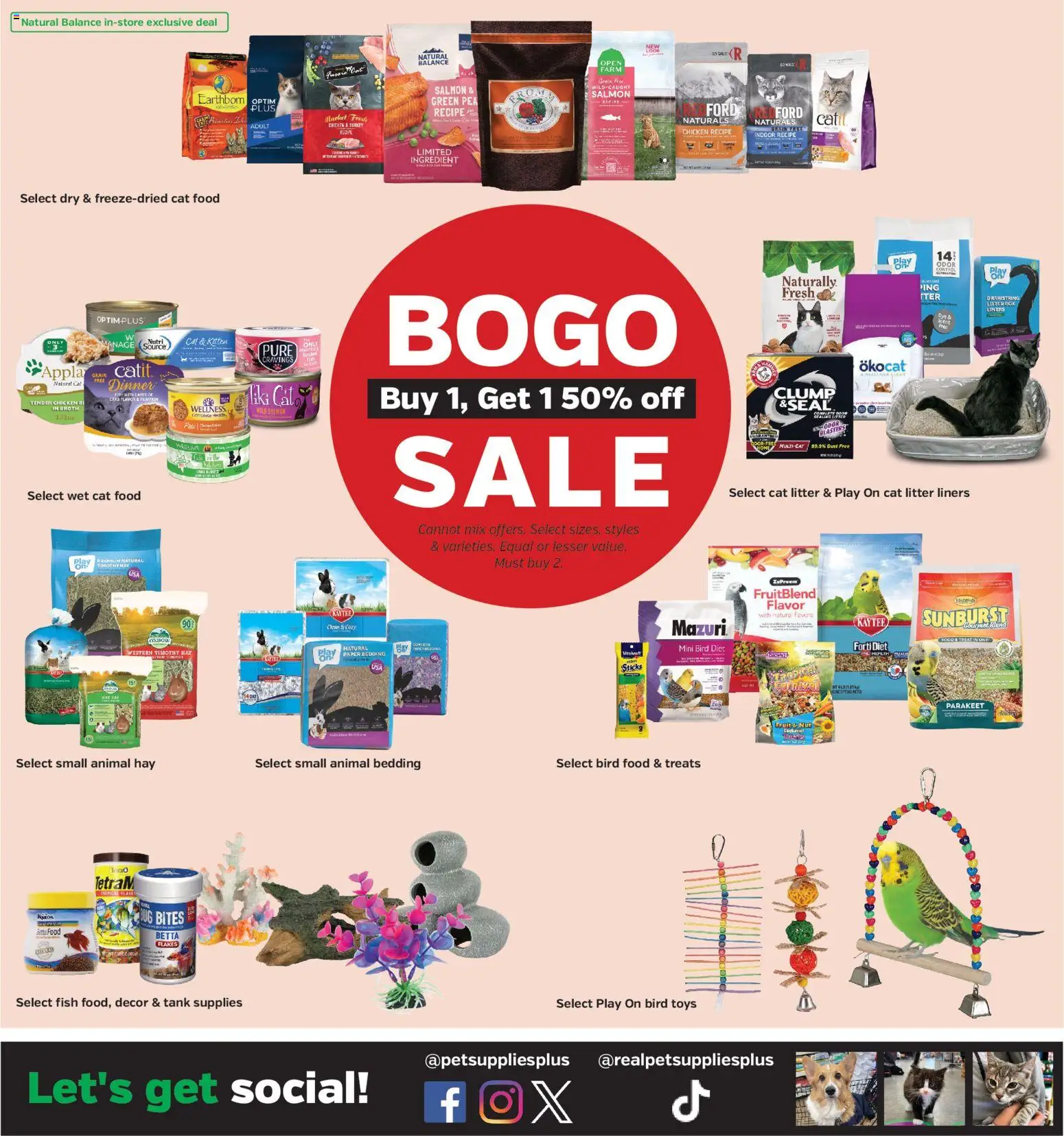 Pet Supplies Plus Weekly Ad - valid from 09/17/2026 | Page: 3 | Products: Cat Litter, Bedding, Fish, Toys