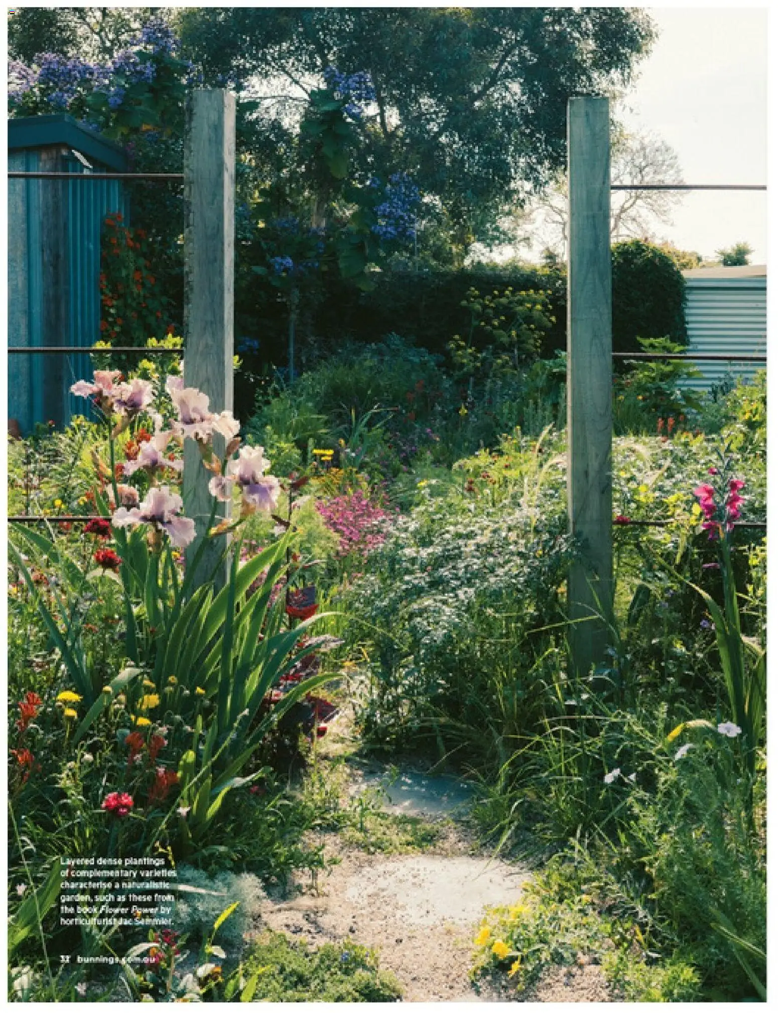 Bunnings Warehouse catalogue - valid from 01/09/2026 | Page: 32