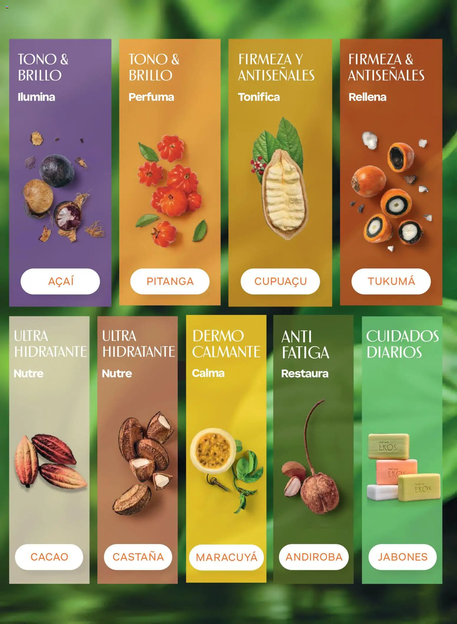 Nuevas ofertas de Natura válidas en toda la República Mexicana desde el 03/10/2026. ¡Encuentra las mejores ofertas en Natura campaña  2026! | Página: 93