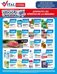 Vista previa Vital - Ofertas válido desde el 15.06.2026
