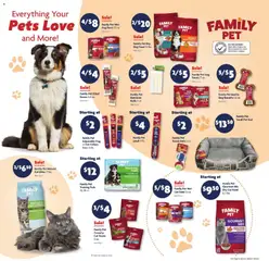 Preview of Family Dollar weekly ads valid from 07/19/2026 | Page: 12 | Products: Bed, Dog Treats, Pet Bed, Pads