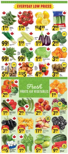 Preview of Adonis weekly flyer from shop Adonis valid from Sep 10, 2026 | Page: 2