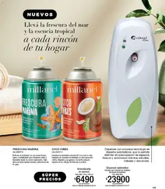 Vista previa Millanel catálogo válido desde el 14/09/2026 | Página: 199 | Productos: Pilas AA, Coco, Pilas, Té