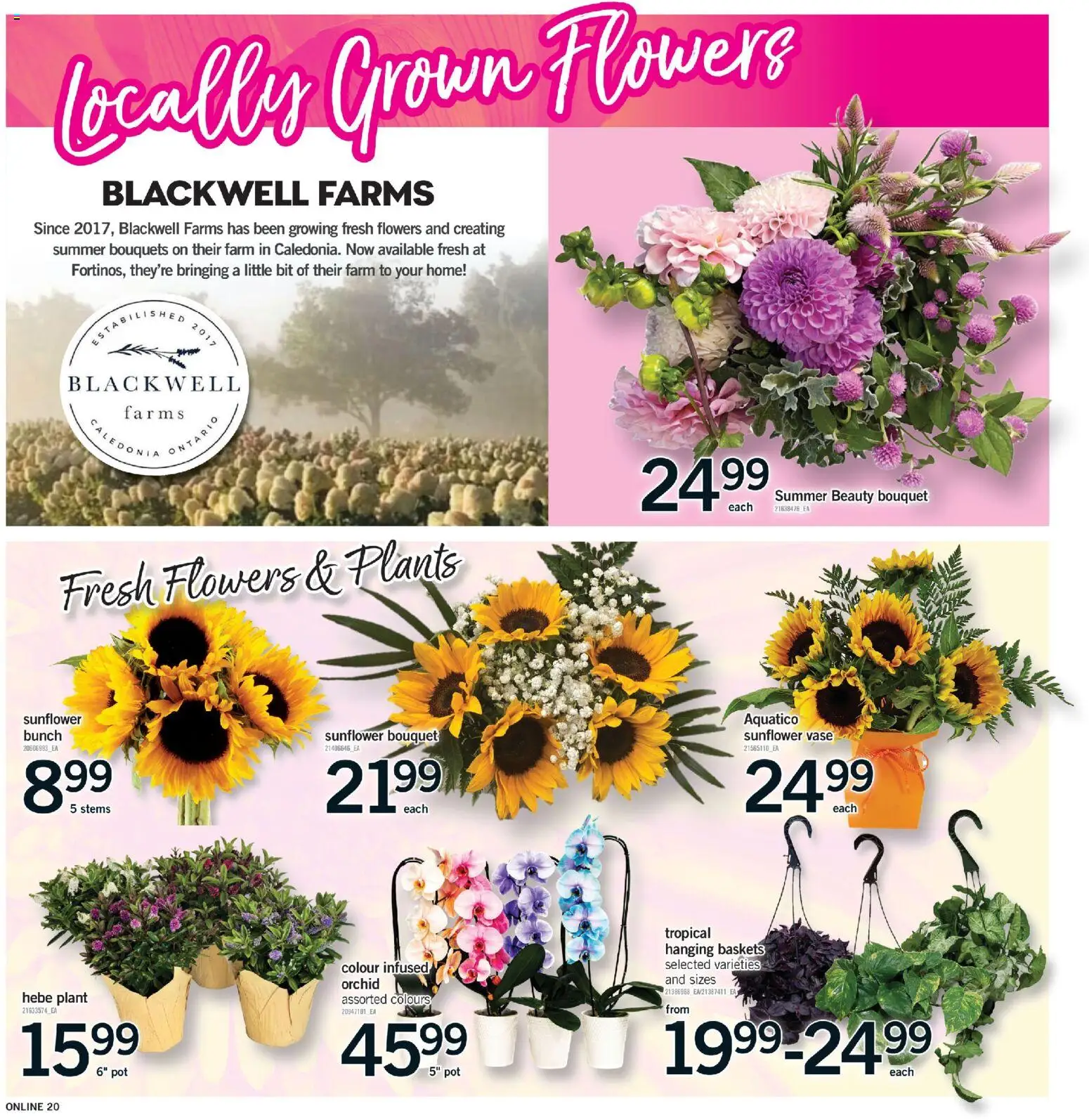Fortinos flyer valid from Aug 13, 2026 | Page: 19 | Products: Sunflower, Flowers, Orchid, Vase