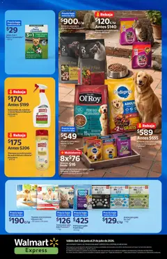 Vista previa de Walmart Express folleto, nuevo folleto de la tienda, válido en México a partir del 03.06.2026 | Página: 20 | Productos: Avena, Despensa, Teléfono, Acondicionador
