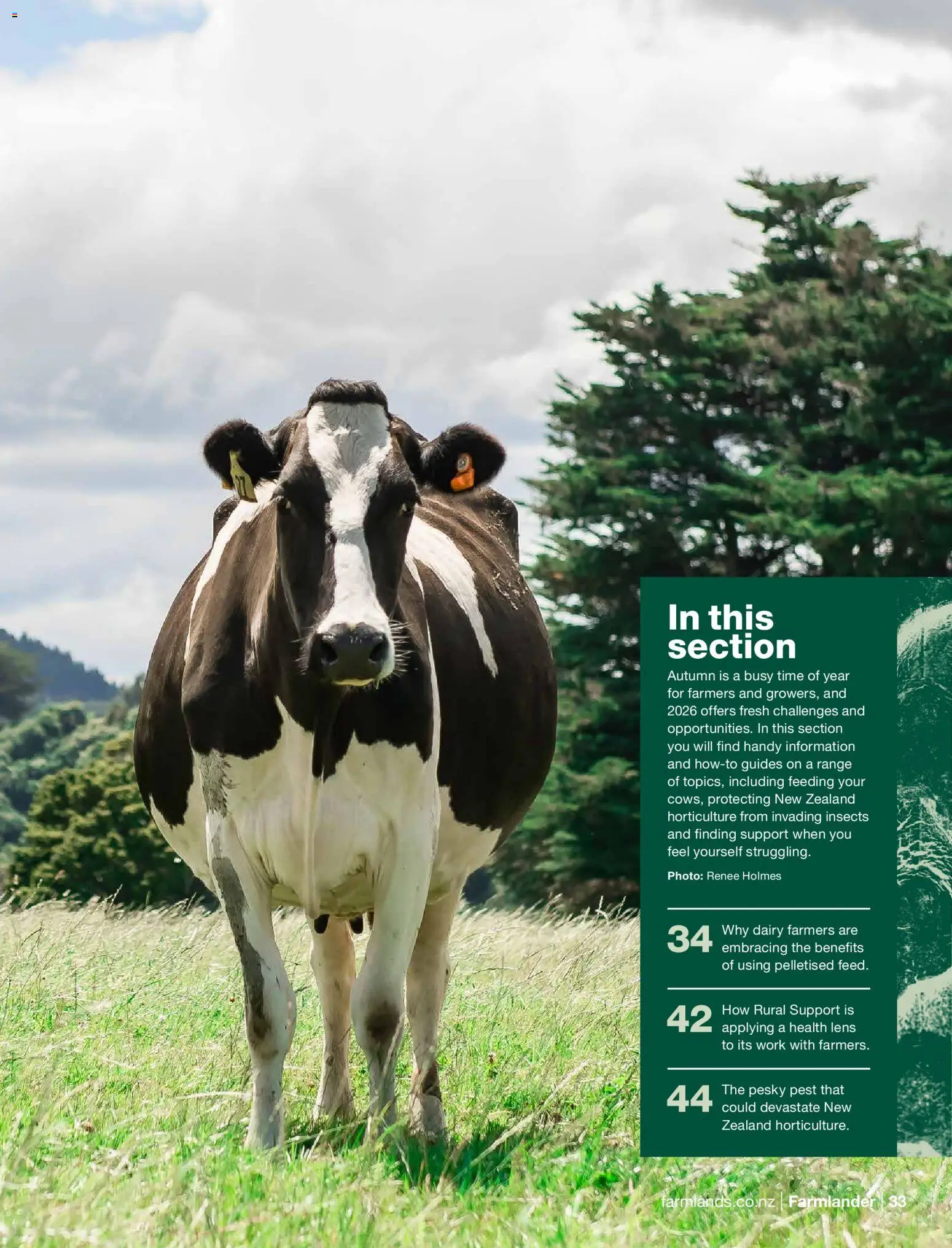 Farmlands catalogue from 01.03.2026 | Page: 35