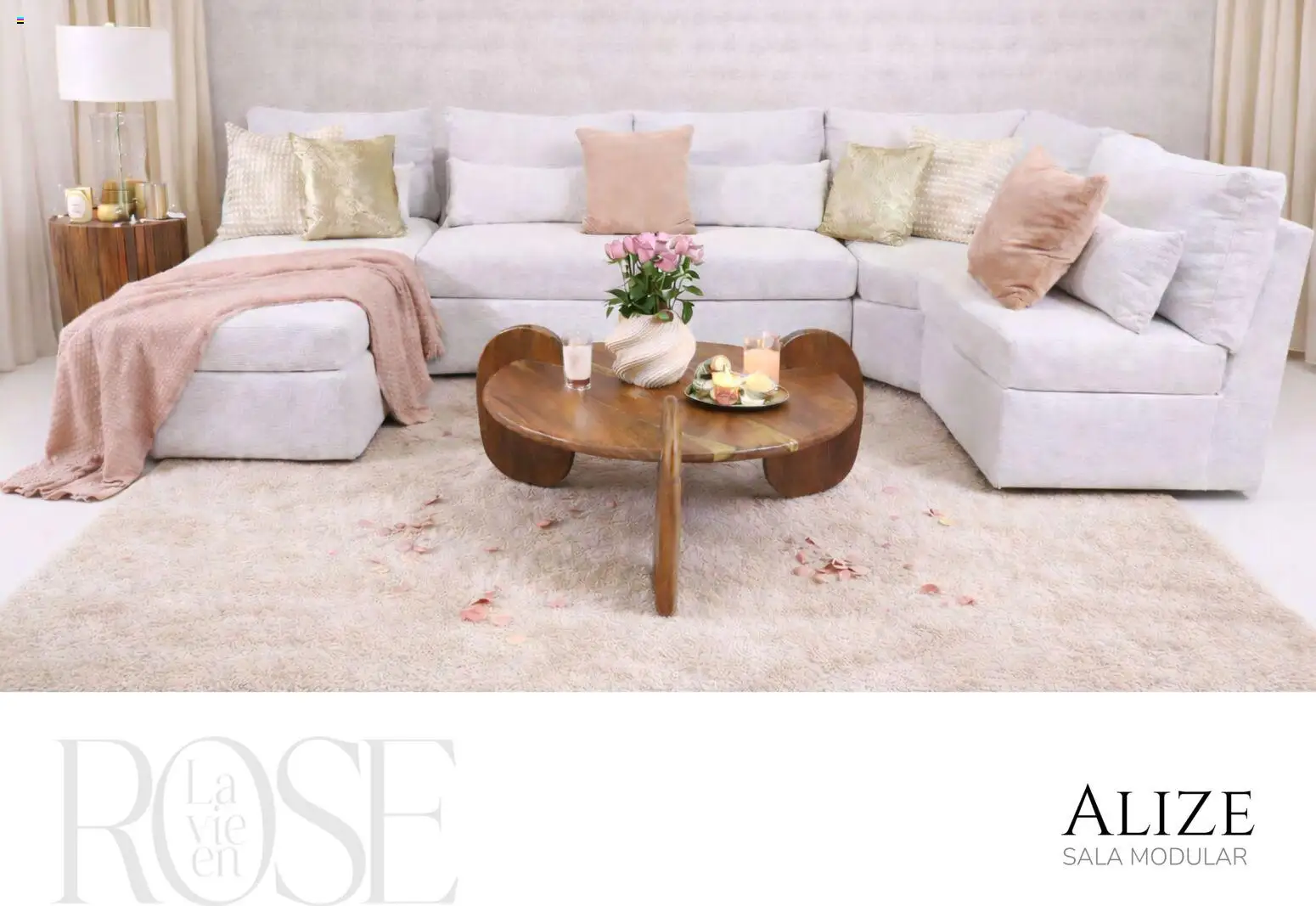 Nuevas ofertas de Muebles Dico válidas en toda la República Mexicana desde el 06/02/2026. ¡Encuentra las mejores ofertas en Muebles Dico catálogo La Vie en Rose 2026! | Página: 9 | Productos: Modular, Sala modular, Sala