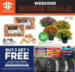 Preview of Mills Fleet Farm weekly ads valid from 09/17/2026