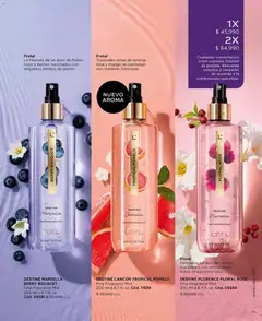 L'Bel catálogo C15 -  Vista previa de la revista de la tienda L'Bel valido desde el 07/09/2026 | Página: 71 | Productos: Pimienta, Mango, Toronja, Combinación