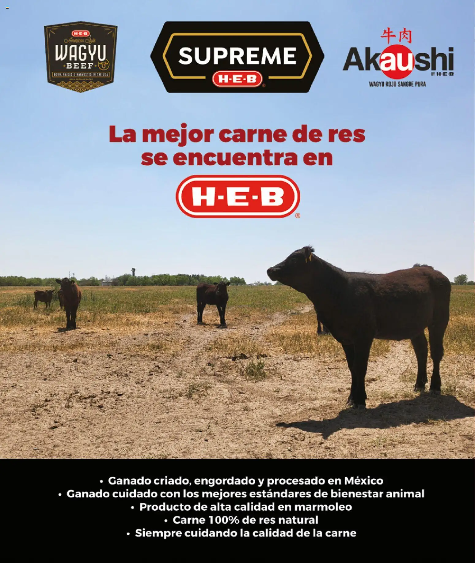 Nuevas ofertas de H-E-B válidas en toda la República Mexicana desde el 01.05.2026. ¡Encuentra las mejores ofertas en H-E-B folleto Celebra! | Página: 50 | Productos: Res