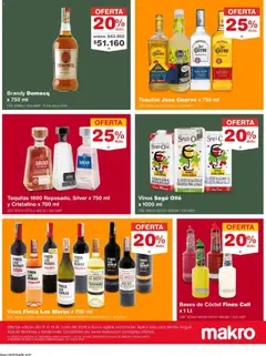 Makro catálogo -  Vista previa de la revista de la tienda Makro valido desde el 15.06.2026 | Página: 8