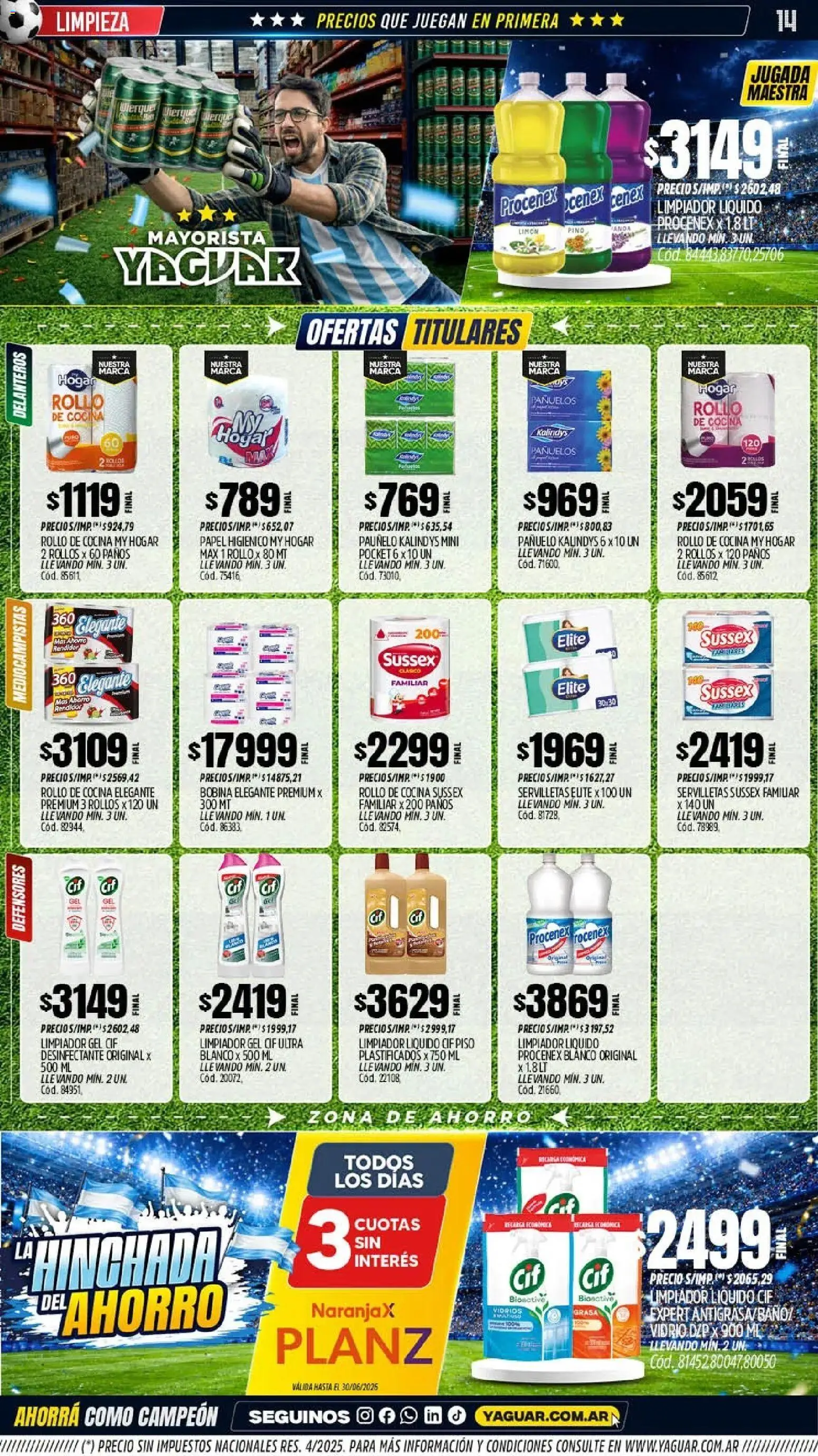 Yaguar - Oferta Semanal Mar del Plata │ válido desde el 15.06.2026 | Página: 13 | Productos: Desinfectante, Papel higiénico, Pañuelo, Cocina