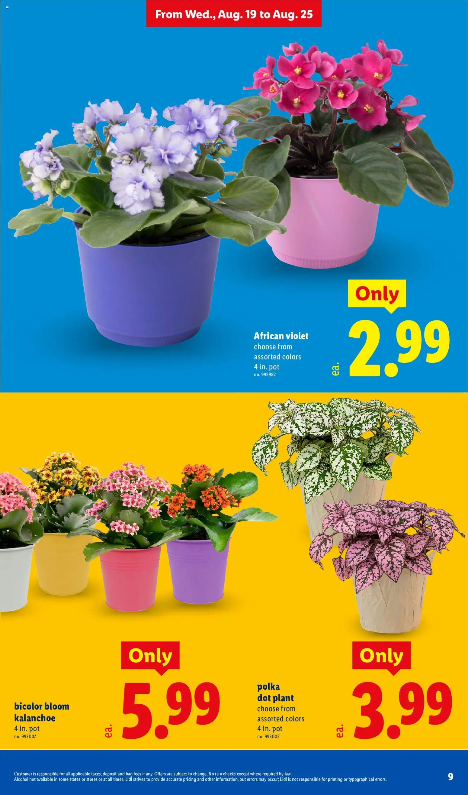 Lidl Weekly Ad - valid from 08/19/2026 | Page: 9 | Products: Alcohol, Bag