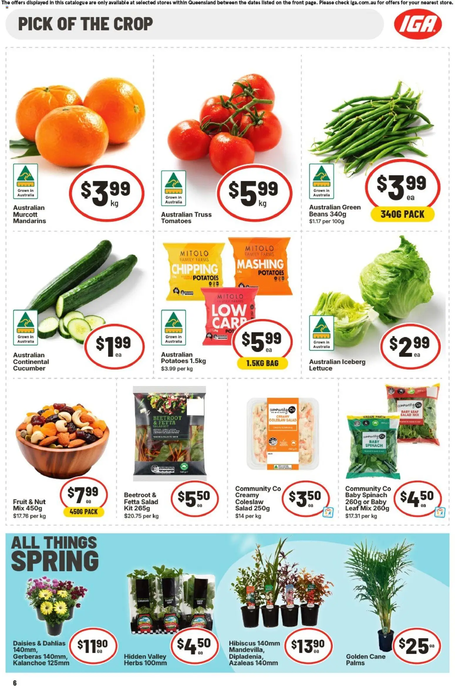 IGA catalogue - valid from 26/08/2026 | Page: 6 | Products: Herbs, Lettuce, Potatoes, Iceberg lettuce