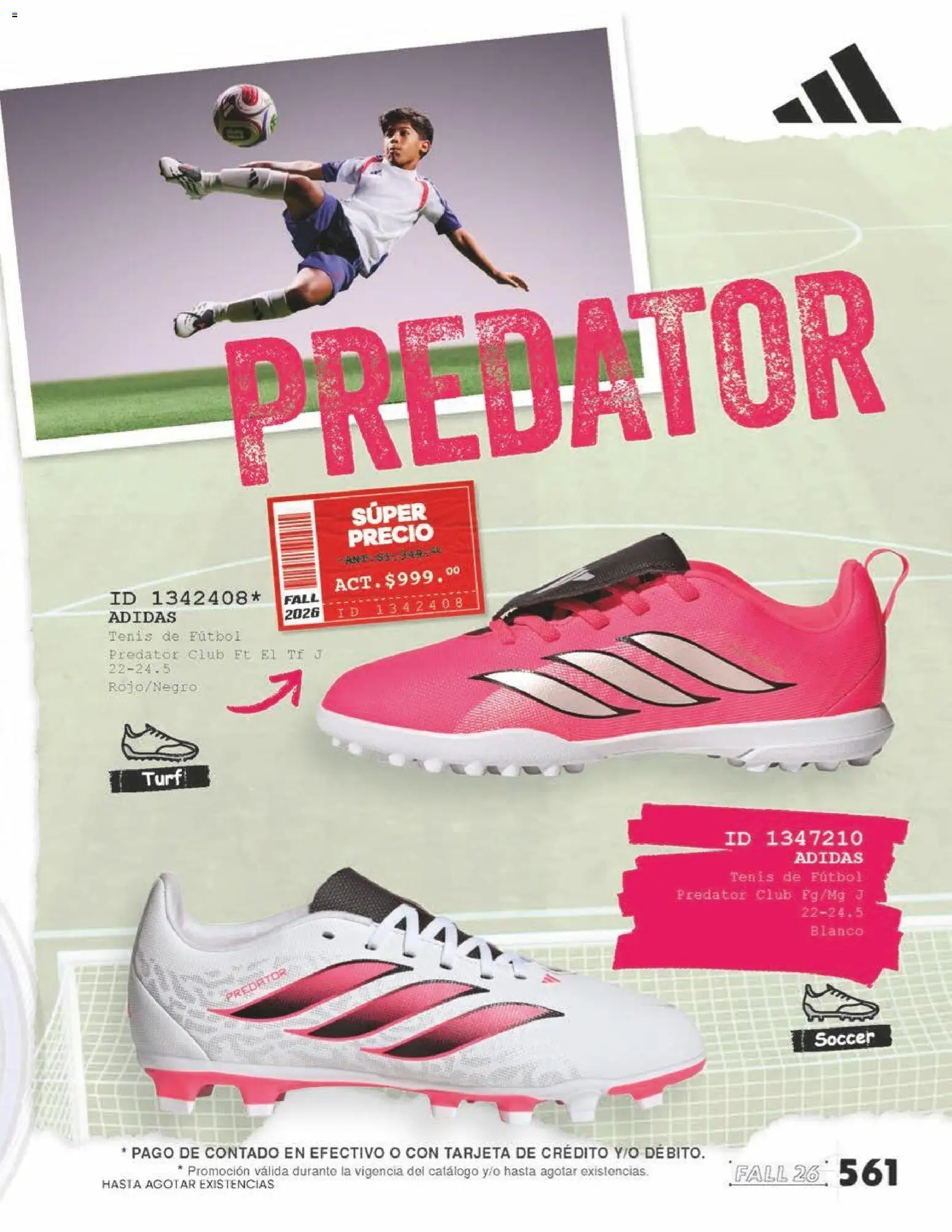 Nuevas ofertas de Price Shoes válidas en toda la República Mexicana desde el 17/08/2026. ¡Encuentra las mejores ofertas en Price Shoes catálogo! | Página: 565